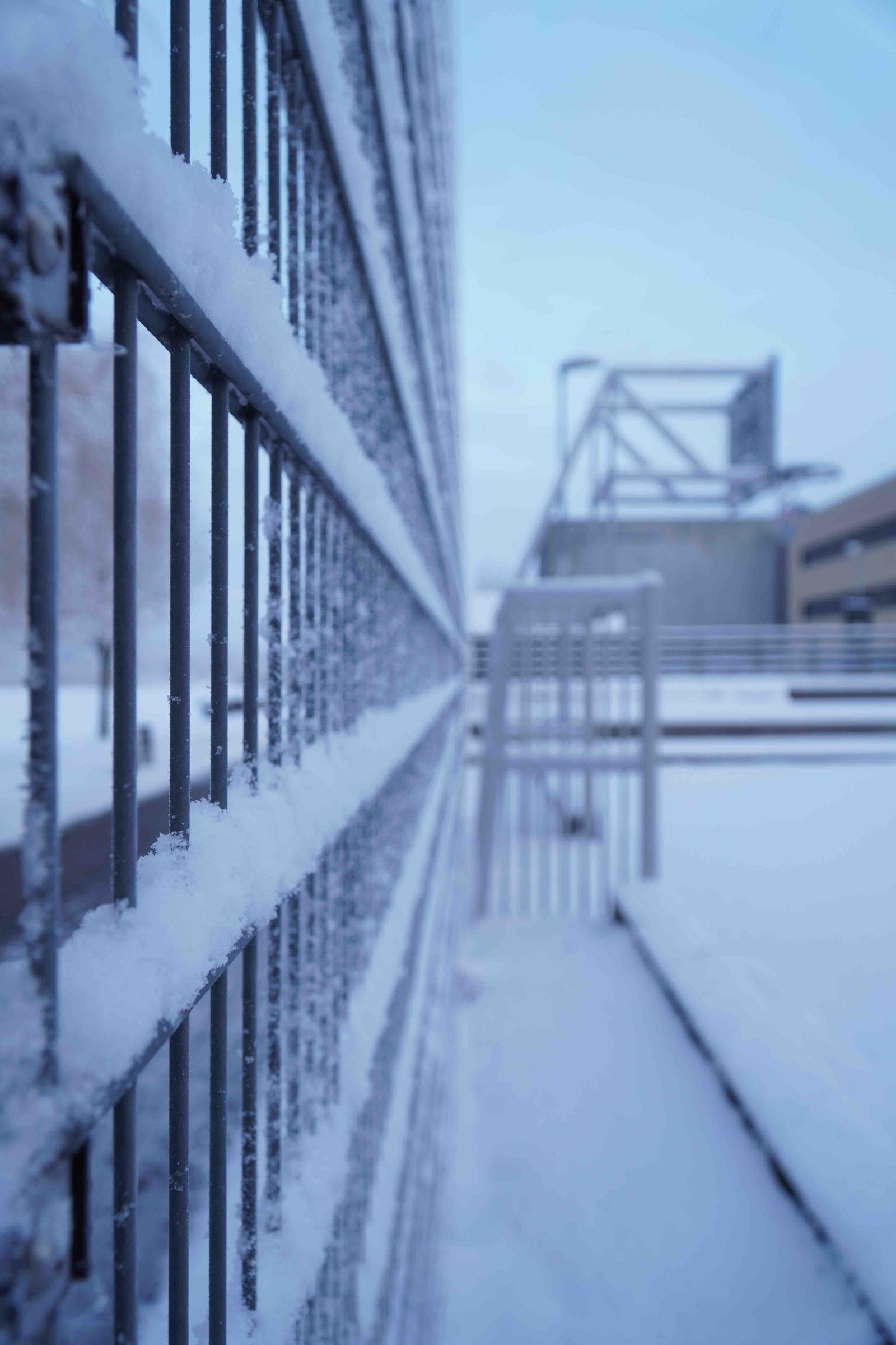 snow
